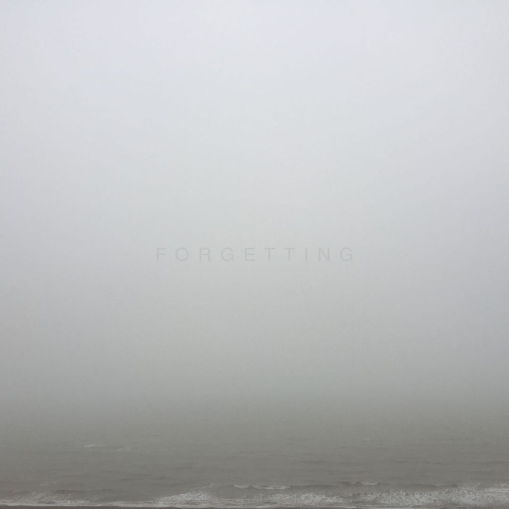 Sans-serif widely spaced text reading "FORGETTING" on an image of water meeting the shore in fog.